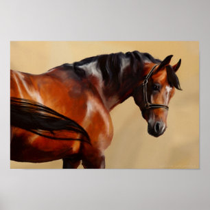 Poster Cheval d'huile
