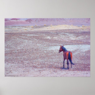 Poster Cheval du désert P8640