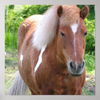 Cheval du quartier de peinture Imprimer