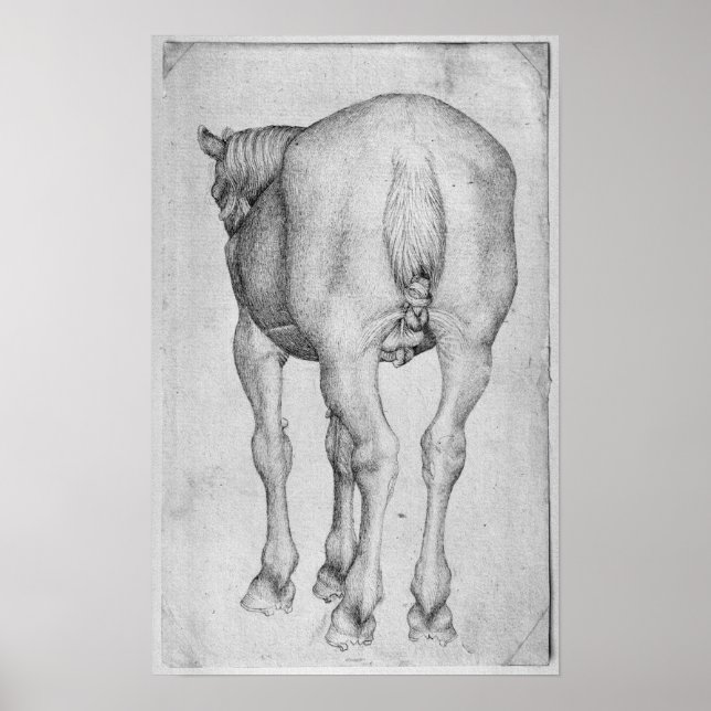 Poster Cheval, du Vallardi Album (Devant)