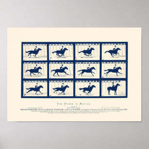 Poster Cheval En Mouvement - Sallie Gardner À Un Gallop