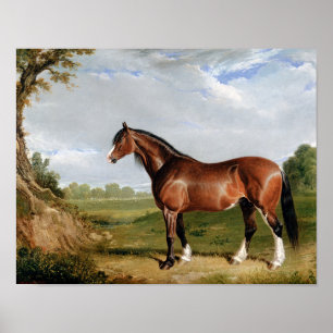 Poster Cheval Equestrian peinture à l'huile Vintage antiq
