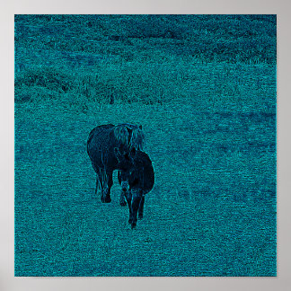Poster Cheval et âne