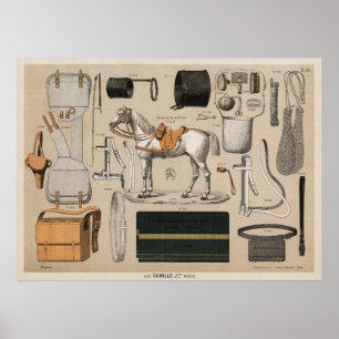 Poster Cheval et fournitures
