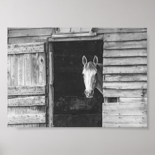 Poster Cheval et grange Peekaboo noir et blanc