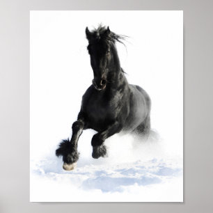 Poster Cheval Friésien Noir En Découpage Neige Imprimer