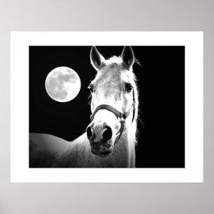 Poster Cheval & Fullmoon