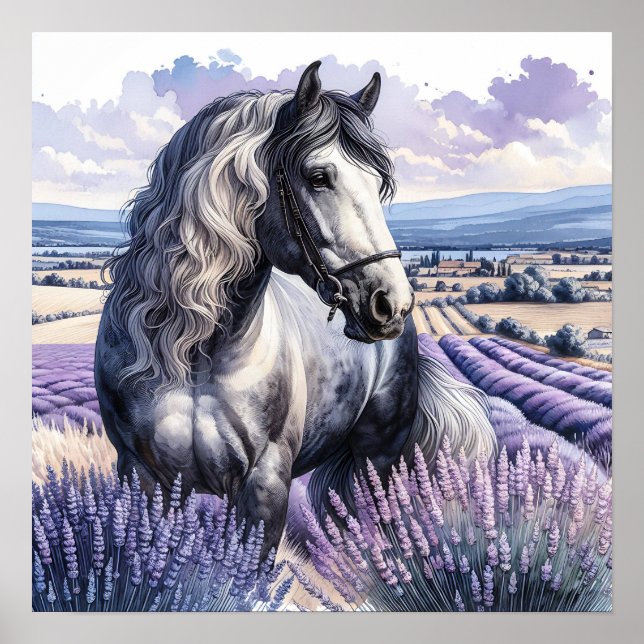 Poster Cheval gris joli debout en Lavender (Devant)