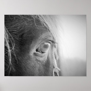 Poster Cheval magique noir et blanc