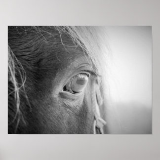 Poster Cheval magique noir et blanc