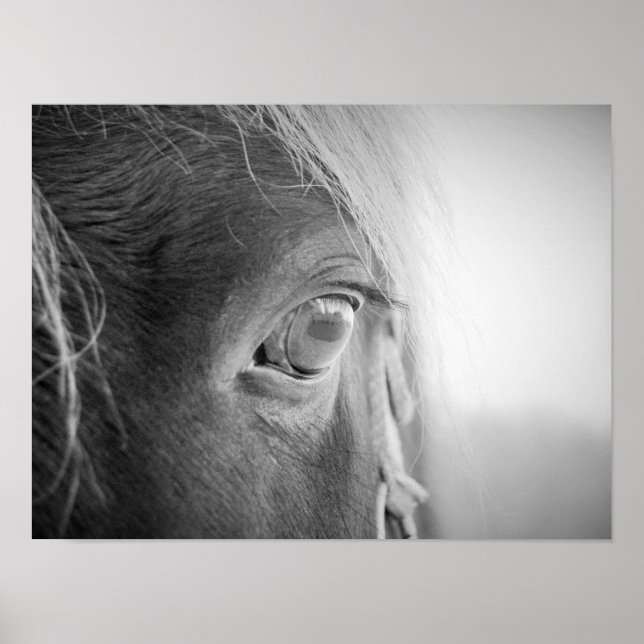Poster Cheval magique noir et blanc (Devant)