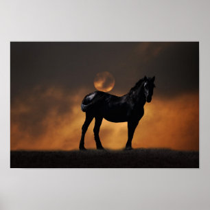 Poster Cheval majestueux