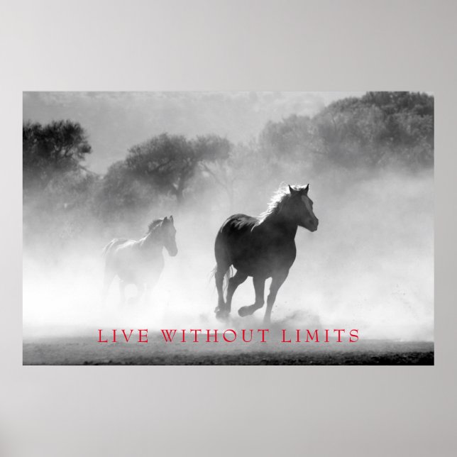 Poster Cheval Motivationnel Blanc Noir Vit Sans Limites (Devant)