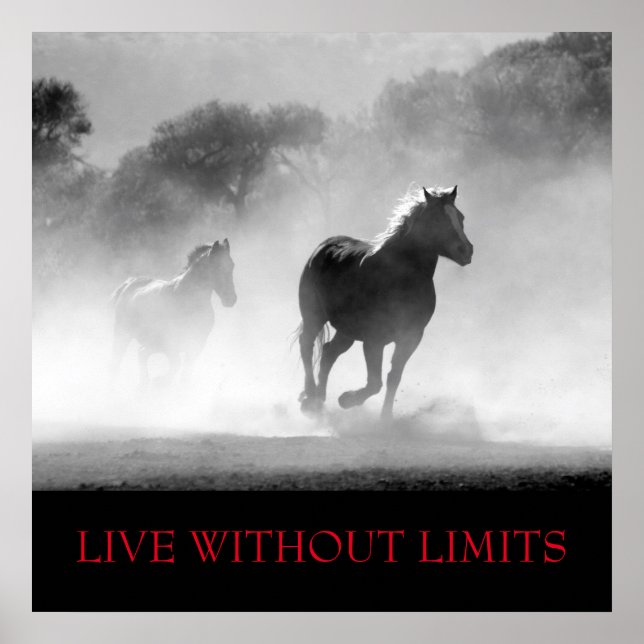 Poster Cheval Motivationnel Blanc Noir Vit Sans Limites (Devant)