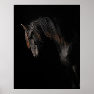 Poster Cheval noir
