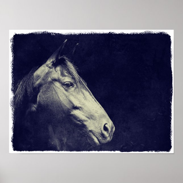 Poster Cheval noir (Devant)