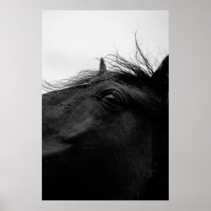 POSTER CHEVAL NOIR