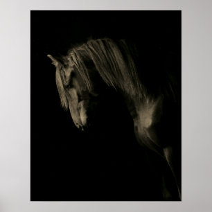 Poster Cheval noir de Sepia