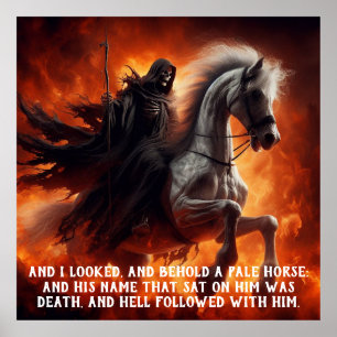 Poster Cheval pâle et cavalier