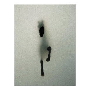 Poster Cheval Perçant le Brouillard - Art Abstrait