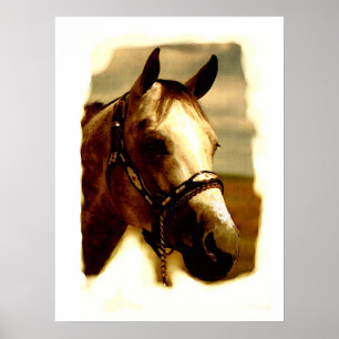 Poster Cheval Portrait