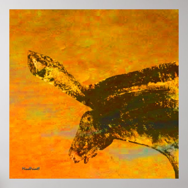 Poster Cheval sauvage Chauvet (Devant)