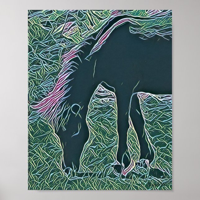 Poster Cheval sauvage pâturant sur Shackleford Banks (Devant)