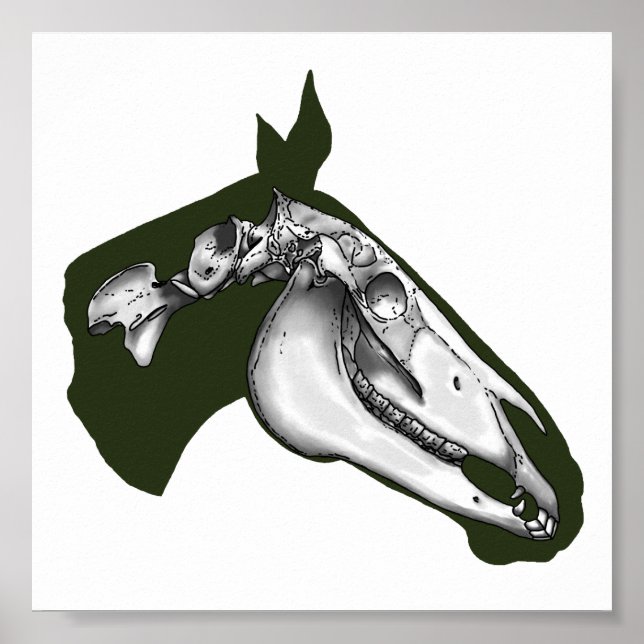 Poster Cheval Squelette (Devant)