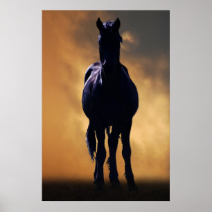 Poster Cheval vif