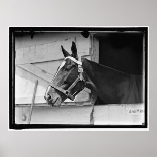Poster Cheval vintage 1913