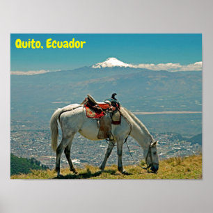 Poster Cheval & volcan, Quito, Equateur