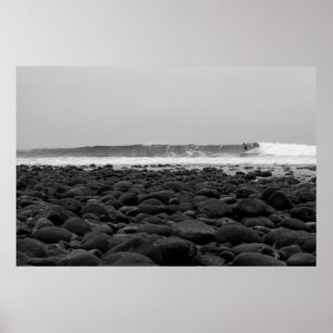 POSTER CHEVALETS, PLAGE D'ÉTAT DE SAN ONOFRE, CA,