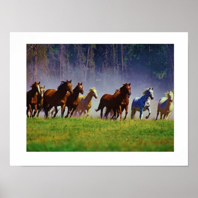 Poster chevaux (Devant)