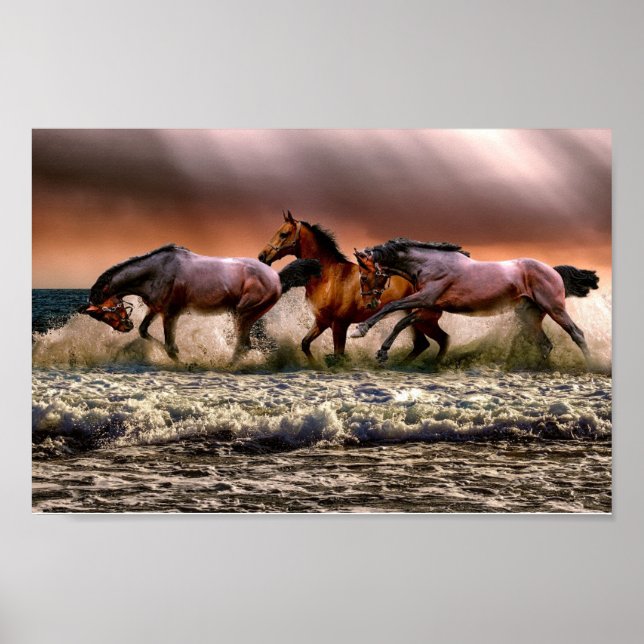 Poster Chevaux (Devant)