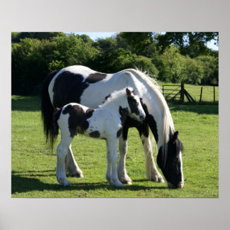 Poster Chevaux