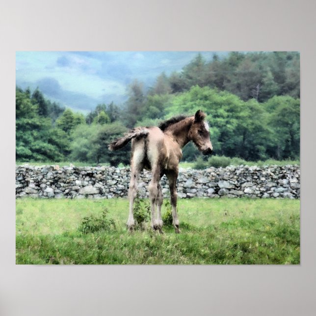 POSTER CHEVAUX (Devant)