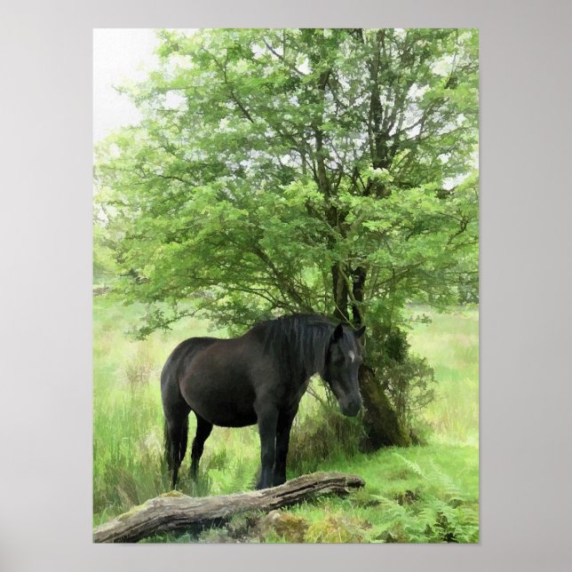 POSTER CHEVAUX (Devant)