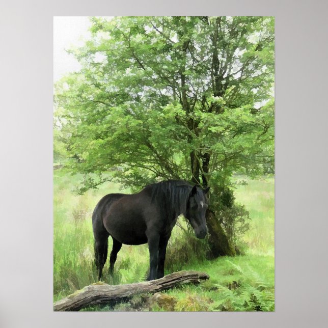 POSTER CHEVAUX (Devant)