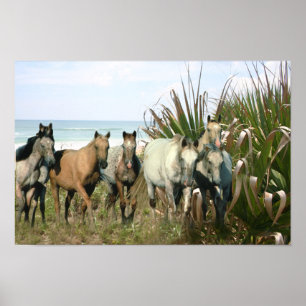 Poster Chevaux à la copie de plage