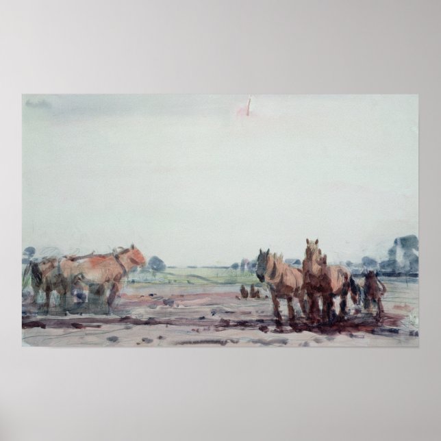 Poster Chevaux à poils (Devant)