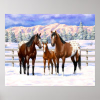Chevaux Appaloosa De Baie Brown En Neige