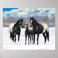 Chevaux Appaloosa Noir En Neige