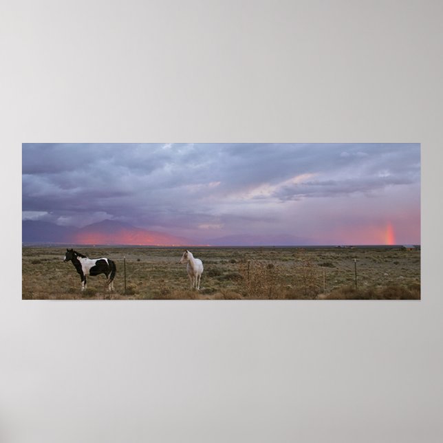 Poster Chevaux après la tempête (Devant)