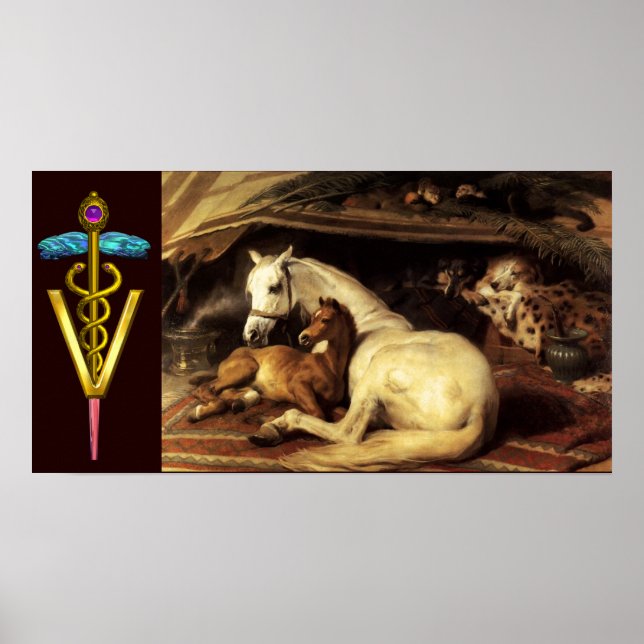 POSTER CHEVAUX AVEC SYMBOLE VÉTÉRINAIRE CADUCE D'OR (Devant)
