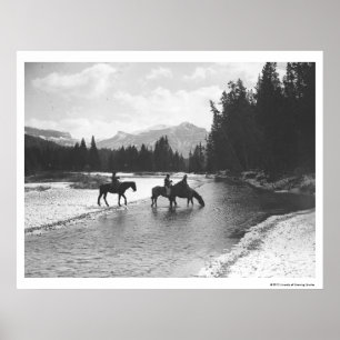 Poster Chevaux buvant de et traversant une rivière