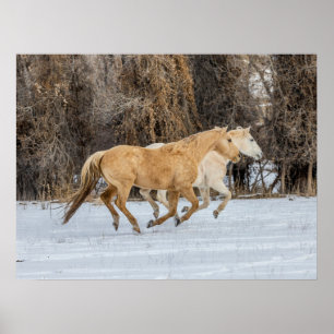 Poster Chevaux courant dans la neige