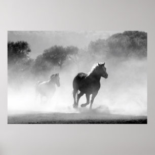 Poster Chevaux courant noir et blanc magnifique paysage