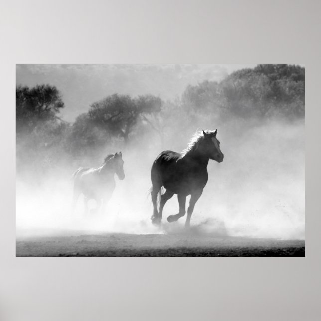 Poster Chevaux courant noir et blanc magnifique paysage (Devant)