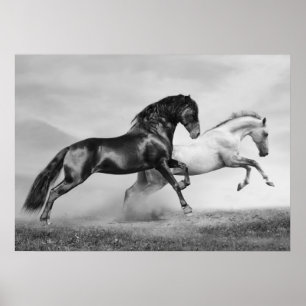 Poster Chevaux courir