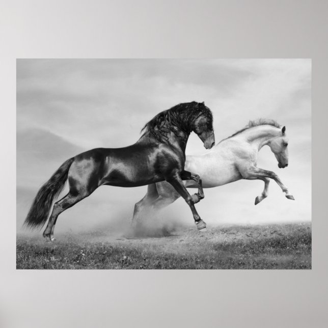 Poster Chevaux courir (Devant)
